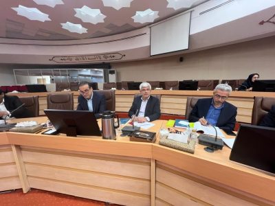 تاکید بر تقویت اختیارات استان‌ها و توسعه همکاری با کشورهای همسایه در نشست معاونین اقتصادی کشور