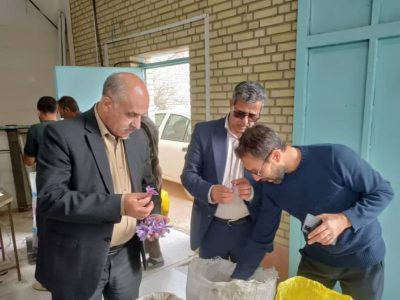 تفاهم‌نامه همکاری برای حمایت از زعفران‌کاران وامنان امضا شد