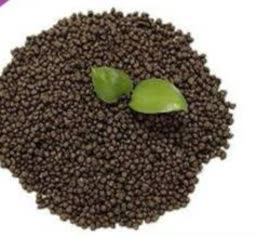 مصرف کود فسفات بر اساس آزمون خاک ، کمک به تولید اقتصادی کشاورزان