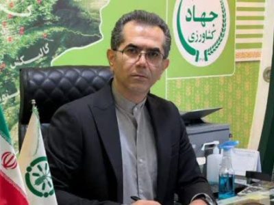 تقویت مزارع  شبدر استان گلستان  با مصرف٢٠ تن کود یارانه ای