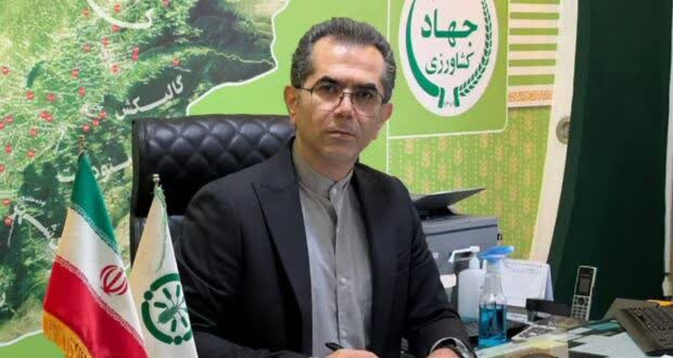 تقویت مزارع  شبدر استان گلستان  با مصرف٢٠ تن کود یارانه ای