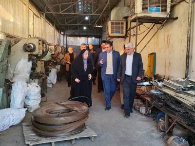 بازدید میدانی معاون استاندار از واحدهای تولیدی و صنعتی کردکوی
