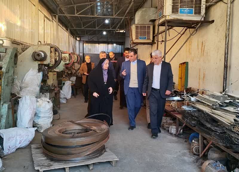 بازدید میدانی معاون استاندار از واحدهای تولیدی و صنعتی کردکوی