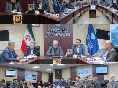 مدیرکل دامپزشکی گلستان: گلستان جایگاه ممتاز در تولیدات دامی کشور دارد/ ضرورت رفع چالش‌های زیرساختی