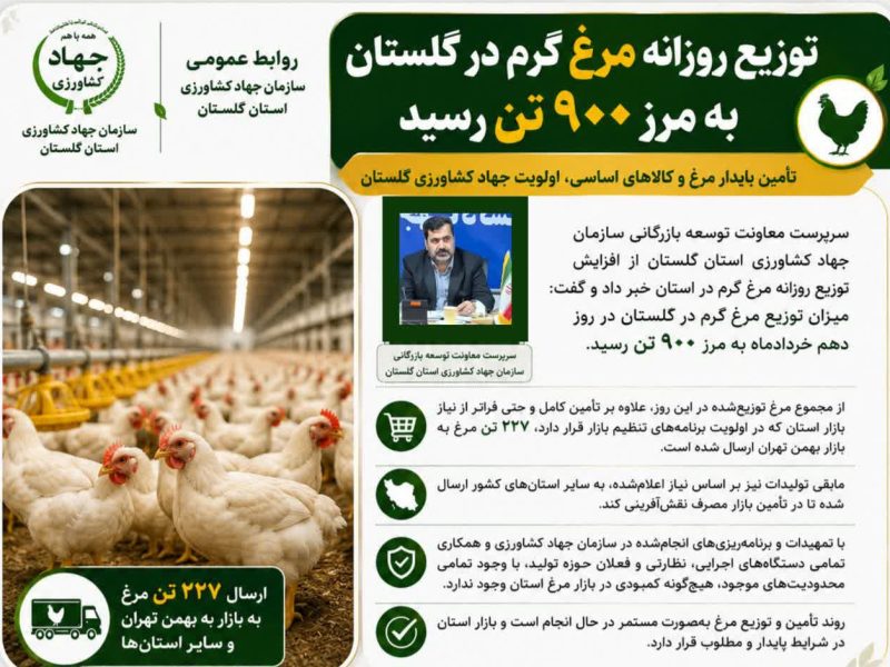توزیع روزانه مرغ گرم در گلستان به مرز ۹۰۰ تن رسید