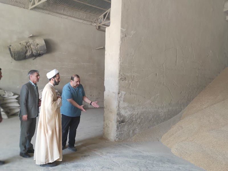 بازدید رئیس حوزه قضایی مراوهتپه از مراکز خرید گندم ؛ نظارت بر خرید و نگهداری گندم