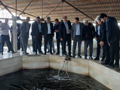 مرکز شهید مرجانی؛ الگویی موفق از توسعه اقتصاد دریامحور