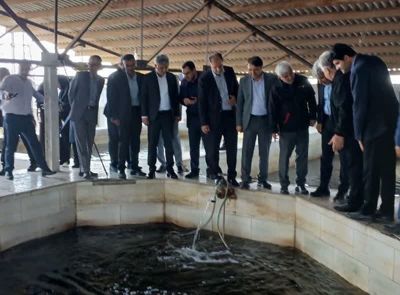 مرکز شهید مرجانی؛ الگویی موفق از توسعه اقتصاد دریامحور