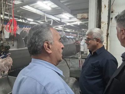 بازدید شبانه معاون اقتصادی استاندار از واحدهای تولیدی بخش کشاورزی و دامپروری گرگان