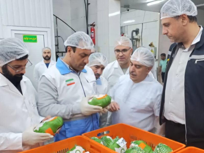 با حضور مدیرکل دامپزشکی استان و مسئول دفتر نمایندگی ولی فقیه برگزار شد؛   بازدید شبانه از کشتارگاه گیلدانه جهان‌نما / دکتر کاووسی: «نیروهای کشتارگاهی، سربازان خط مقدم نظام اقتصادی کشور هستند»