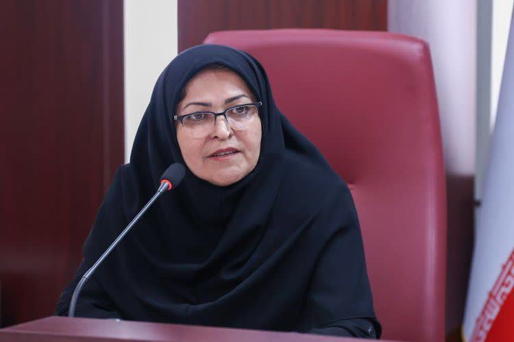 رئیس سازمان استاندارد: کالاهای اساسی‌ 52 ساعته ترخیص می‌شود