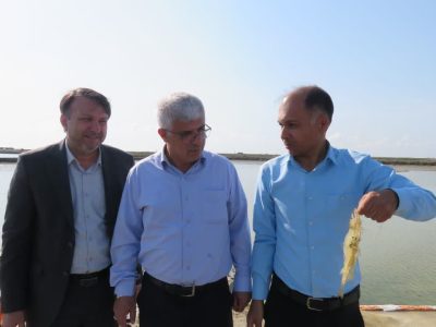 کیان‌مهر: آب پایدار، کیفیت تولید میگو و امنیت سرمایه‌گذاری را افزایش می‌دهد
